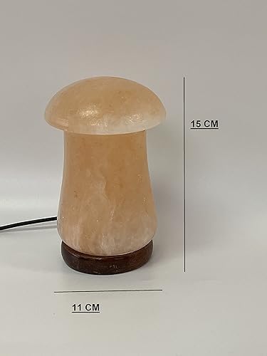 Himalayan Salt Lamp, USB Powered Color Changing Mushroom Shaped Lamp Unique Gift for Home Decore and Relaxation - Bloomnest