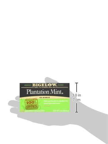 Bigelow Tea Perfectly Mint Black Tea, Caffeinated with Spearmint, 20 Count Box (Pack of 6), 120 Total Tea Bags - Bloomnest