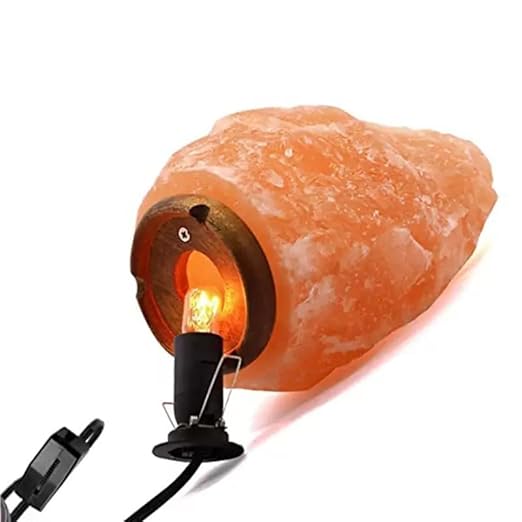 Himalayan Salt Lamp Cord, with Dimmer Switch,Christmas Bulb,Salt Lamp Cord with Dimmer Control and Base Assembly,6 Feet,E12 Base for Himalayan Salt Lampsand with 2 Free 15W Bulbs for Salt Lamp - Bloomnest
