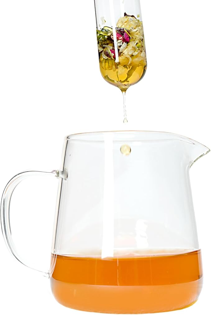 2 PCS Glass Tea Infusers for Loose Tea——Reusable Round filter holes Tea Glass Strainers with Cork Lid & Teaspoon & Cleaning Brus - Bloomnest