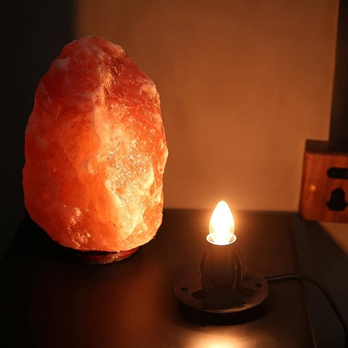 Himalayan Salt Lamp Cord Replacement with Dimmer Switch(2-Pack) and E12 Halogen Salt Lamp Bulbs(6-Pack) New Series (5 Feet Cord & 3.34 Inch Base) - Bloomnest