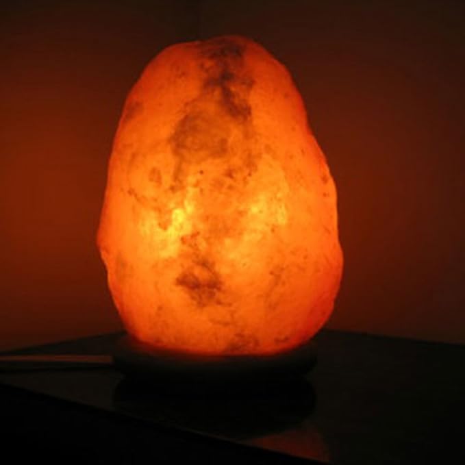 Authentic Hand Carved Natural Himalayan Salt Lamp – 9-11 lbs - Bloomnest
