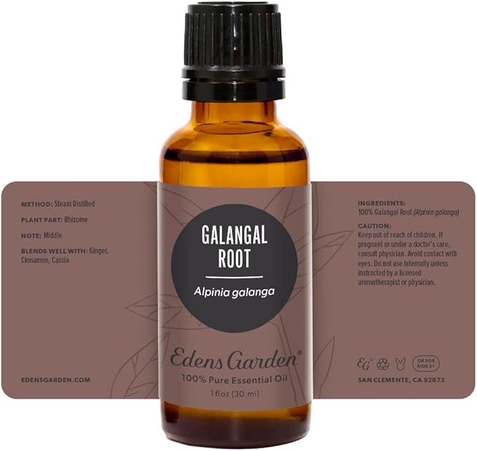 Edens Garden Galangal Root Essential Oil- 100% Pure Premium Grade, Undiluted, Natural, Therapeutic, Aromatherapy, The Best for Diffuser, Candle, Laundry, Humidifiers 30 ml (1 fl oz) EdensGarden