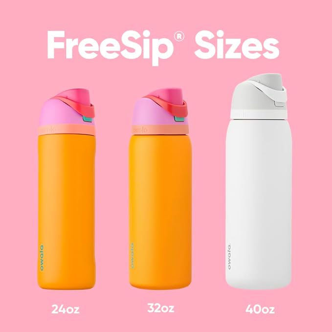 Owala FreeSip Insulated Stainless Steel Water Bottle with Straw for Sports and Travel, BPA-Free Sports Water Bottle, 24 oz, Grey/Grey, Due North Owala