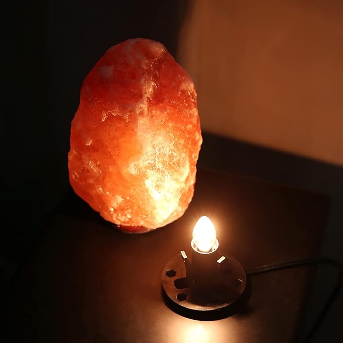 Himalayan Salt Lamp Cord Replacement with Dimmer Switch(2-Pack) and E12 Halogen Salt Lamp Bulbs(6-Pack) - Bloomnest
