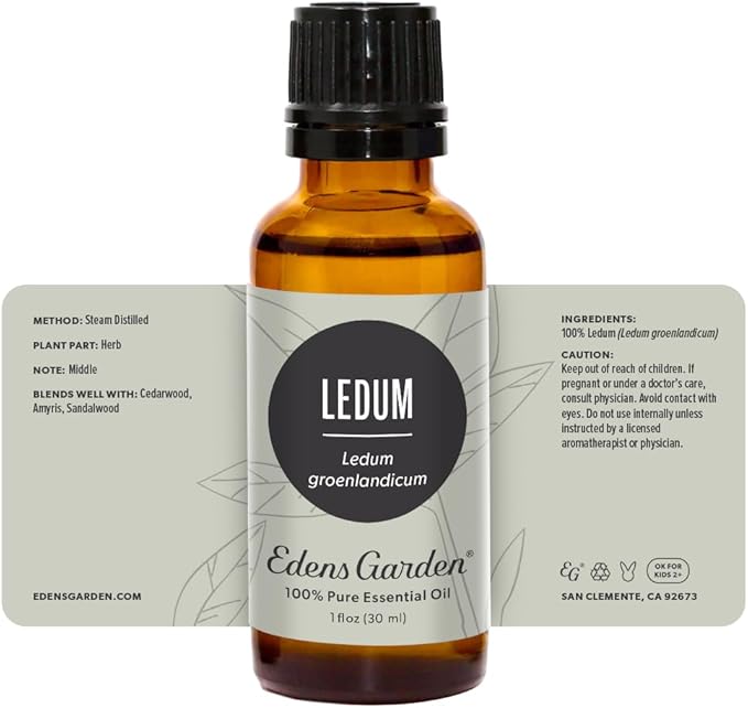 Edens Garden Ledum Essential Oil- 100% Pure Premium Grade, Undiluted, Natural, Therapeutic, Aromatherapy, The Best for Diffuser, Skin, Hair, Humidifiers 30 ml (1 fl oz) - Bloomnest