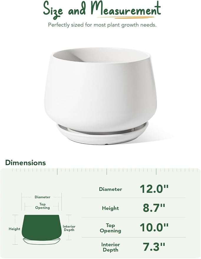 LE TAUCI Ceramic Planters, 12 Inch Pots for Plants, Plant Pots with Drainage Holes and Saucers, Durable and Modern, Planters for Indoor Plants, White - Bloomnest