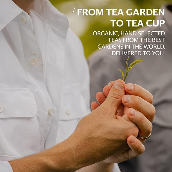 Grace Farms Organic JASMINE Green Tea (100 Enveloped Pyramid Sachets w/String & Tag) | Fragrant and Sweet | Fairtrade and Kosher Certified | Best Green Tea | Gives Back 100% of Profits - Bloomnest