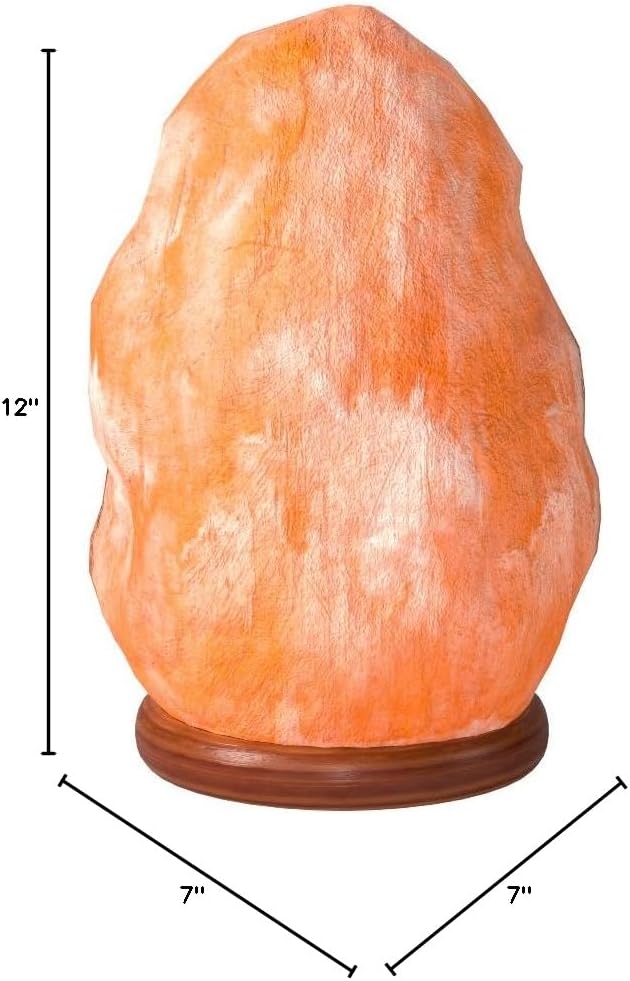 The Body Source Himalayan Salt Lamp 10-12 Inches (11-15lb) | Includes Dimmer Switch | Natural Salt Rock Lamp with Handcrafted Wooden Base & Night Light (Bulb Replacement) - Bloomnest