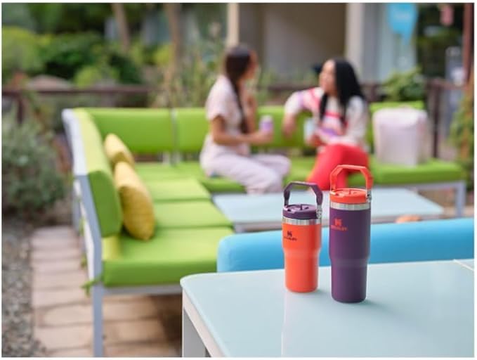 Stanley IceFlow Flip Straw Tumbler with Handle 20 oz | Twist On Lid and Flip Up Straw | Leak Resistant Water Bottle | Insulated Stainless Steel |BPA-Free | Tigerlily Plum - Bloomnest