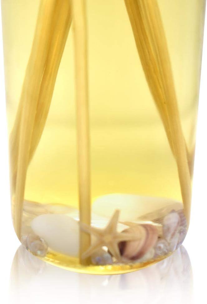 Urban Naturals Ocean Mist & Sea Salt Reed Diffuser Set | Made with Essential Oils & Real Seashells | Decorative Air Freshener Room Diffuser - Bloomnest