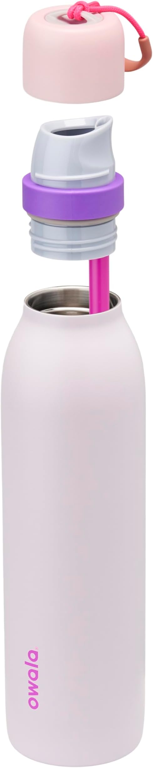 Owala FreeSip Twist Insulated Stainless Steel Water Bottle with Straw for Sports and Travel, BPA-Free, 24-oz, Pink/Purple (Dreamy Field) Owala