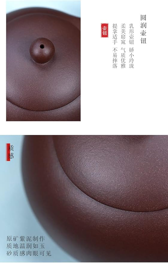 Xishi Teapot 7oz Chinese Zisha Clay Pot Ceramics Purple Sand Mud Kungfu Tea Set (purple 9 hole filter) - Bloomnest
