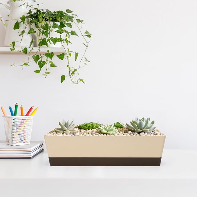 GREANER Indoor Windowsill Planter Boxes, 6 Pack 16 x3.8 Inch Rectangle Succulent Cactus Window Box with Tray, Modern Plastic Plant Pots for Porch, Patio, Garden Balcony, Home Office Outdoor Decoration - Bloomnest