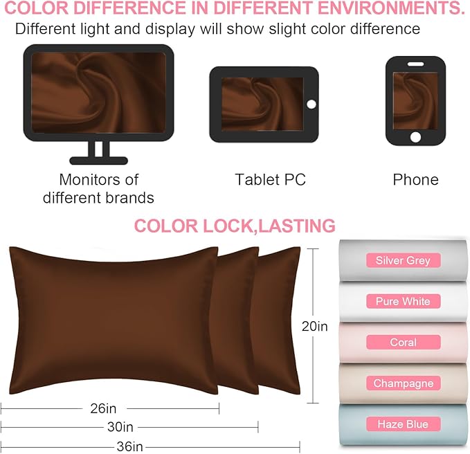 Mulberry Silk Pillow Cases 2 Pack Queen Size 20x30 Inches with Hidden Zipper, Ultra Smooth and Soft Breathable Cooling Silk Satin Pillowcase Set of 2, Better for Hair and Skin, Gifts for Women Men - Bloomnest