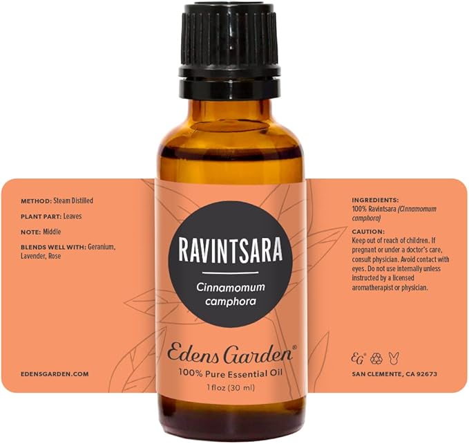 Edens Garden Ravintsara Essential Oil- 100% Pure Premium Grade, Undiluted, Natural, Therapeutic, Aromatherapy, The Best for Diffuser, Candle, Laundry, Humidifiers 30 ml (1 fl oz) - Bloomnest