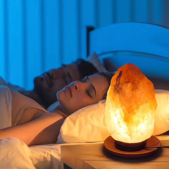 2 Pack Salt Lamp Cord Replacement with 2 Pack Wooden Tray and 8 Pack E12 Halogen Salt Lamp Bulbs - Bloomnest