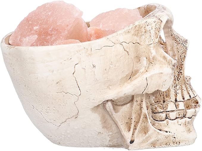 Salt Lamp, Skull Shape LED Night, Stepless Dimming USB Powered, Air Purifier with Negative Ions, Decorative for Bedroom Meditation Relaxation - Bloomnest