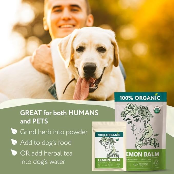 Lemon Balm Tea Organic - Lemon Balm Herb Loose Leaf - Melissa Tea, Tolonjil Tea Organic –- Anti-Stress, Sleep, Blood Pressure, Digestion - 4 Oz - Bloomnest