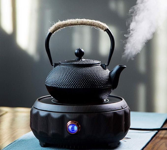 HwaGui Japanese Tetsubin Cast Iron Teapot, Iron Tea Pot with Infuser for Loose Tea, Cast Iron Tea Kettle Stovetop Safe, Teapot Coated with Enameled Interior, 600ml/20oz