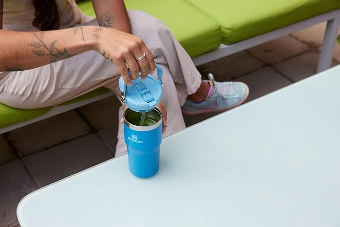 STANLEY IceFlow 2.0 Flip Straw Tumbler with Handle 20 oz | Twist On Lid and Flip Up Straw | Leak Resistant Water Bottle | Insulated Stainless Steel | BPA-Free | Meadow - Bloomnest