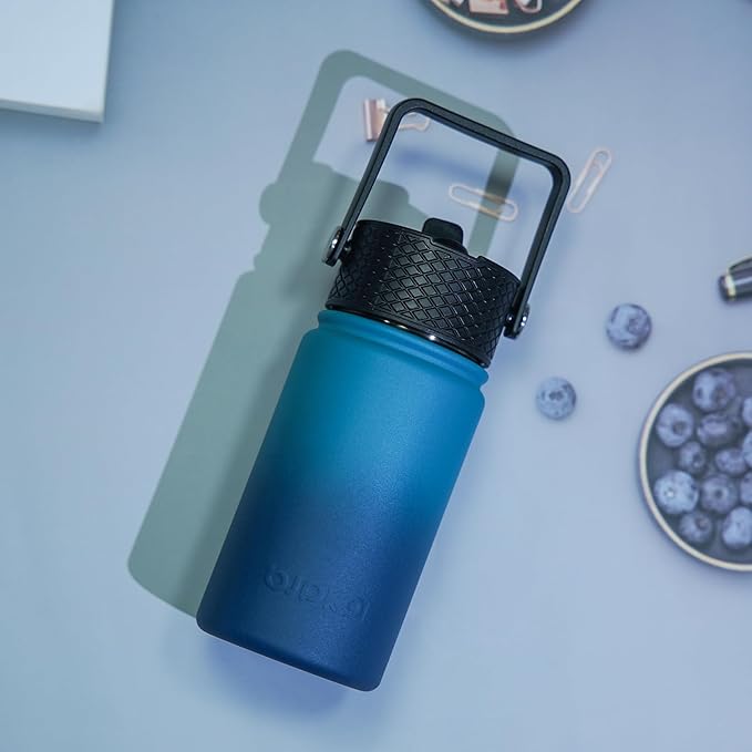 BJPKPK Insulated Water Bottle with Straw Lid, 15oz Cute Water Bottles, Stainless Steel Metal Thermo, Reusable BPA Free Leak Proof Tumblers, Cups,Vast - Bloomnest