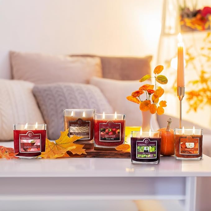 Colonial Candle Fine Merlot Scented Jar Candle, 2 Wick, 3.5 oz, Mottled Wax Candle - Bloomnest