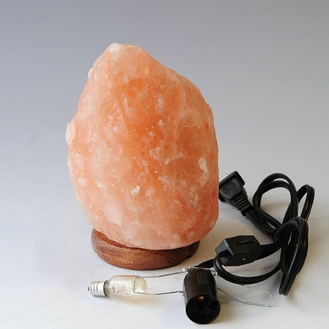 Himalayan Salt Lamp - Bloomnest