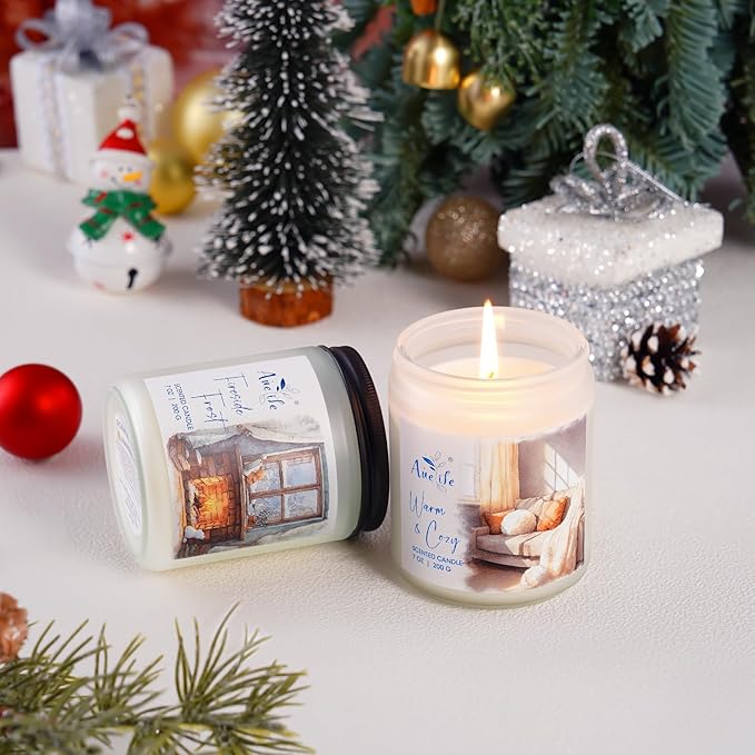 Winter Candle Set | 6 Pack Christmas Scented Candles for Home - Holiday Soy Candle Gift Set for Women Men, Winter Decor, Aromatherapy Candles Scents of Hello Winter/Forest/Cider/Warm/Fireside/Bonfire - Bloomnest