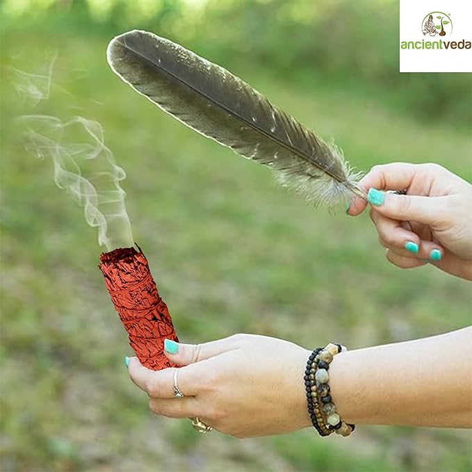 Ancient VEDA Organic Smudge Kit – Dragon's Blood, Palo Santo, Sweetgrass, Abalone Shell, Feather & Smudge Guide | Smudging Kit for Home Energy Cleansing, Meditation (Healer's Kit, Dragon's Blood Sage) AncientVeda