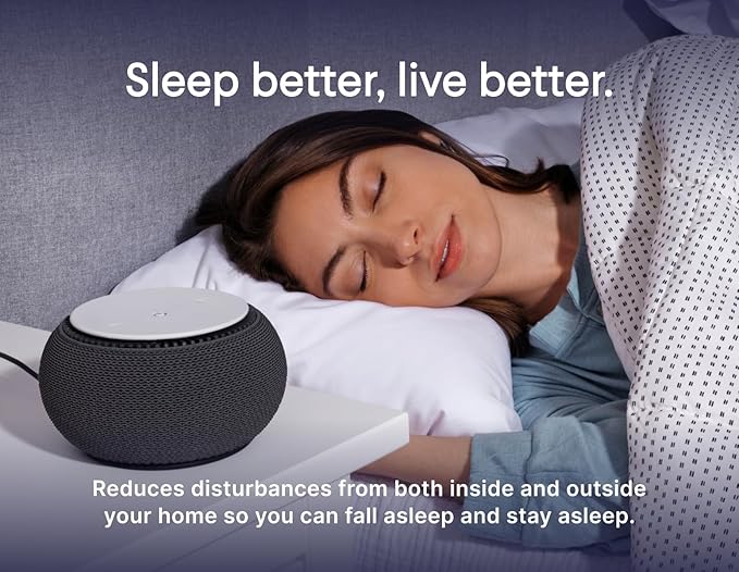 SNOOZ Smart White Noise Sound Machine - Real Fan Inside for Non-Looping White Noise, Sleep Aid for Adults, Travel, Sleeping, Bedroom, Portable, Baby Registry Essential - Charcoal - Bloomnest
