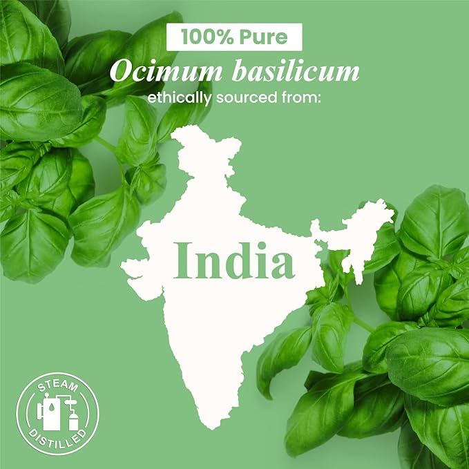 Handcraft Blends Basil Essential Oil – Huge 4 Fl Oz – 100% Pure and Natural – Premium Grade Essential Oil for Diffuser and Aromatherapy, Skin, Massage, Candle and Soap Making Fragrance - Bloomnest