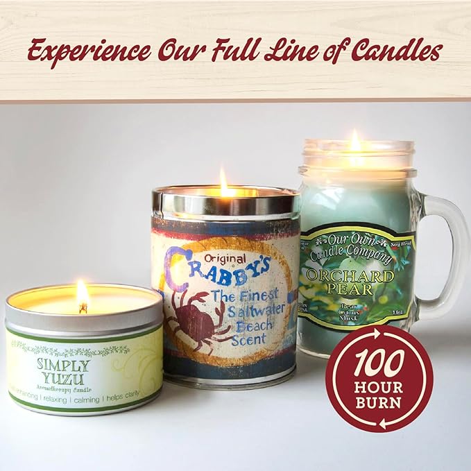 Our Own Candle Company, Cactus Blossom Scented Mason Jar Candle, 100 Hour Burn Time, 13 Ounces - Bloomnest