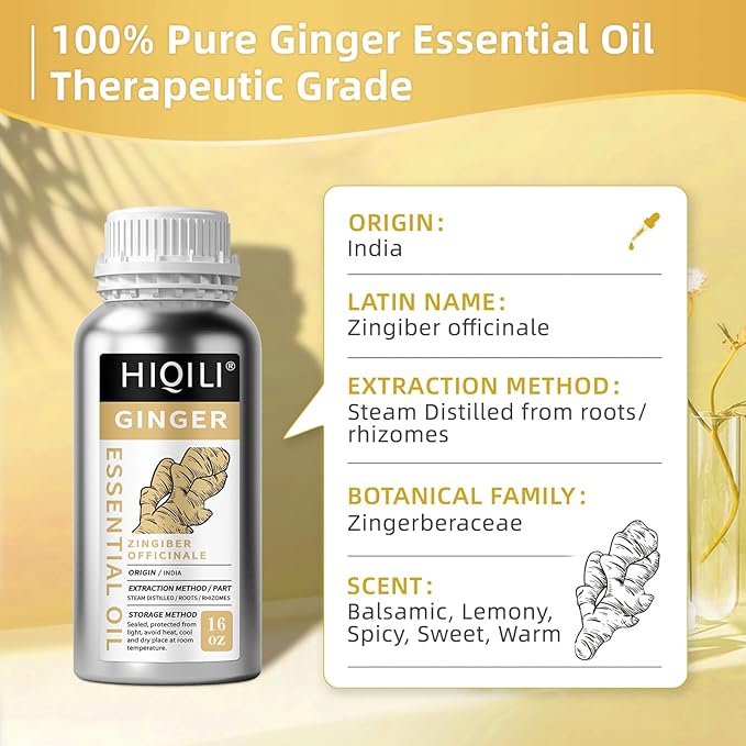 HIQILI 16 Fl Oz Ginger Oil, 100% Pure Natural Ginger Essential Oil for Hair, Massage, Skin - 500ML HIQILI