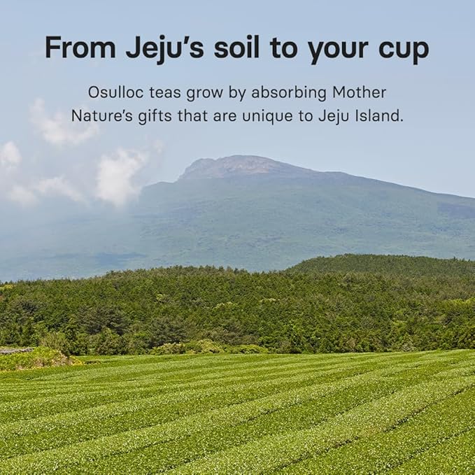 OSULLOC Pure Green Tea (Mild, Clean tasting Aroma), USDA Organic, Premium Blended Tea from Jeju, Tea Bag Series 20 count - Bloomnest