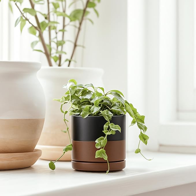 D'vine Dev 3.5 Inch & 4.7 Inch Ceramic Planter Pots for Plants with Drainage Hole and Saucer, X-Small Plant Pots Set, Black/Speckled Tan, 94-G-XS-7 - Bloomnest