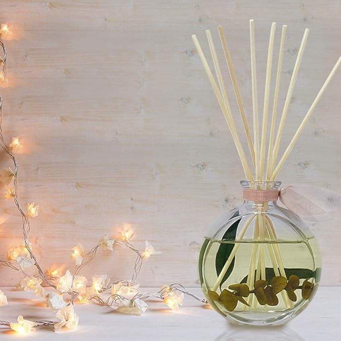 LOVSPA Reed Diffuser Set, Winter Woods Scented Oil Diffuser with Sticks, Home Fragrance Accessories for Bathroom Shelf Decor, Aroma Diffusers for Home or Office Desk, USA Made - Bloomnest