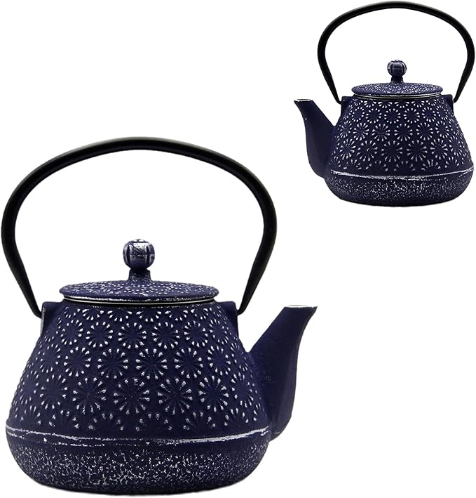 20.3oz Small Cast Iron Teapot, SECHUDO Cast Iron Tea Kettle for Stovetop Safe Coated with Enameled Interior, Cast Iron Tea Pot with Stainless Steel Infuser for Loose Tea (Blue Gerbera Pattern) - Bloomnest