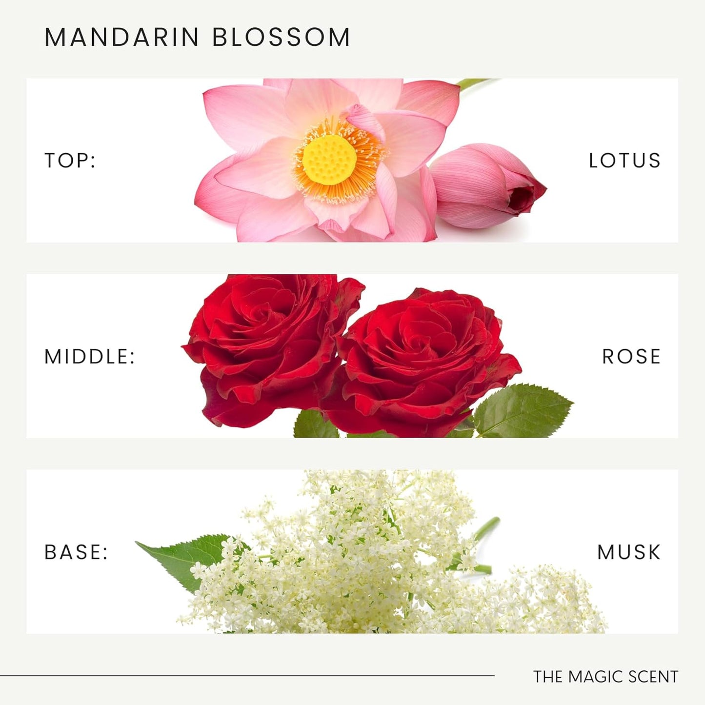 The Magic Scent Mandarin Blossom Diffuser Oil - Hotel & Home Luxury Scents Inspired by St. Regis Hotel, Maldives - Diffuser Oil Scents for Home Designed for Use in All Diffusers - 4 fl oz, 120 mL