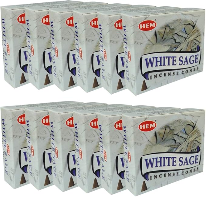White Sage Incense Cones and Cone Incense Burner Bundle Insence Insense Hem Incense TRUMIRI