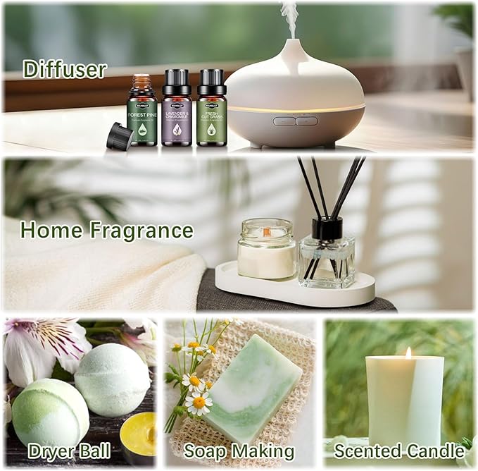 Essential Oils Set, Nature Scents Fragrance Oil Aromatherapy Essential Oils Kit for Diffuser (6x10ML) Sandalwood &Rose, Bamboo, Rain, Lavender &Chamomile, Fresh Cut Grass, Forest Pine Oil - Bloomnest