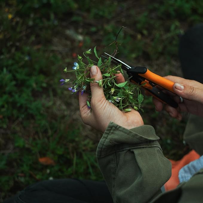 Fiskars Micro-Tip Pruning Snips - 6" Garden Shears with Sheath and Comfort Grip - Sharp Steel Blades - Quality Pruning Shears for Plants in Grow Tents and Hydroponics - Garden Tools - Bloomnest