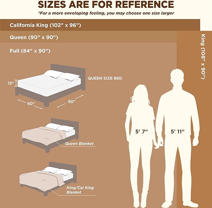 Bedsure GentleSoft Blankets Queen Size for Bed - Cozy Soft Blankets for Women, Cute Large Fleece Throws for Girls, Light Grey, 90x90 Inches - Bloomnest