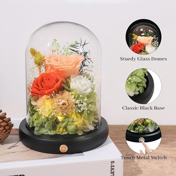 FIACO Preserved Flowers Rose Gifts for Women, Birthday Gifts Eternal Rose in Glass Dome Long-Lasting Real Forever Flowers Gifts for Mom Grandma Wife Girlfriend - Bloomnest