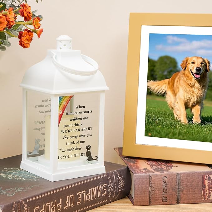 Dog Memorial Gifts with Remote - Sympathy Bereavement Gifts for Loss of Dog, Rainbow Bridge Memorial Lantern for Grieving Pet Owner - Bloomnest