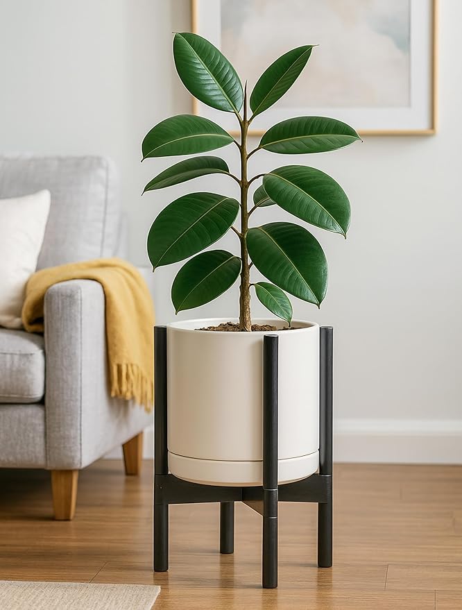 D'vine Dev Ceramic Planter with Ebony Stand - 10 Inch Modern Round Flower Pot with Wood Planter Holder, Oatmeal, 55-B-L-8 - Bloomnest