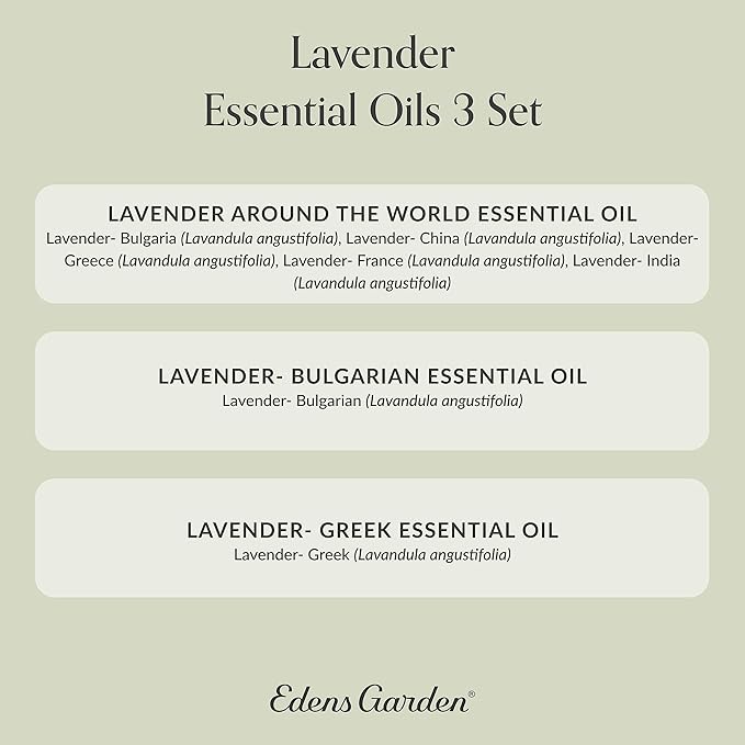 Edens Garden Lavender Essential Oils 3 Set – 100% Pure Therapeutic Grade, Aromatherapy Floral Scents For Relaxation, Skin, Candle Making & Diffusers – Natural, Vegan & Fragrance Oil Free, 10 ml/3 Pack - Bloomnest