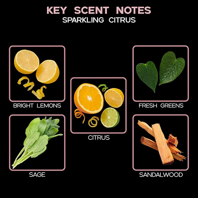 LOVSPA Reed Diffuser Set, Sparkling Citrus Scented Oil Diffuser with Sticks, Home Fragrance Accessories for Bathroom Shelf Decor, Aroma Diffusers for Home or Office Desk, USA Made - Bloomnest