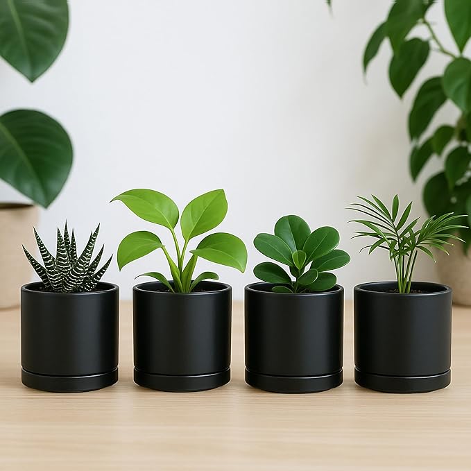 D'vine Dev Set of 4 Small Ceramic Plant Pots, 3.5 Inch Succulent Planter Pot for Plants with Drainage Hole and Saucer, Black, 94-X-A-2 - Bloomnest