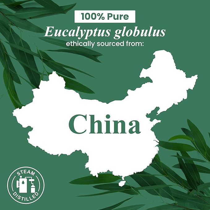 Handcraft Blends Organic Eucalyptus Essential Oil – 1 Fl Oz – 100% Pure and Natural – Premium Grade Essential Oil for Diffuser and Aromatherapy HandcraftBlends